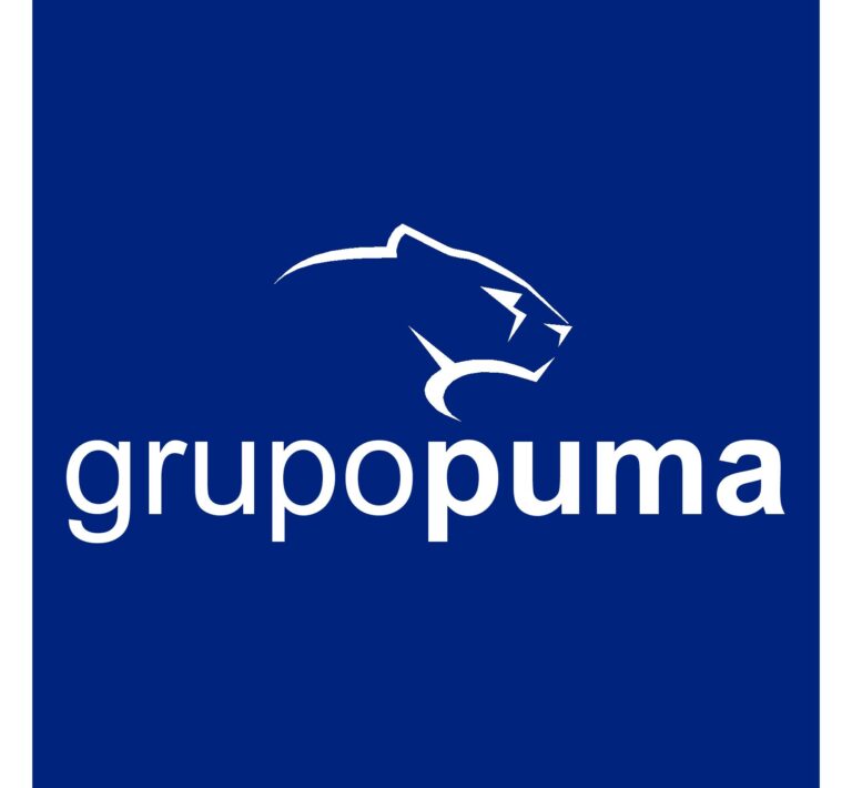 Grupo Puma organiza una jornada técnica online sobre refuerzo estructural con fibra de carbono