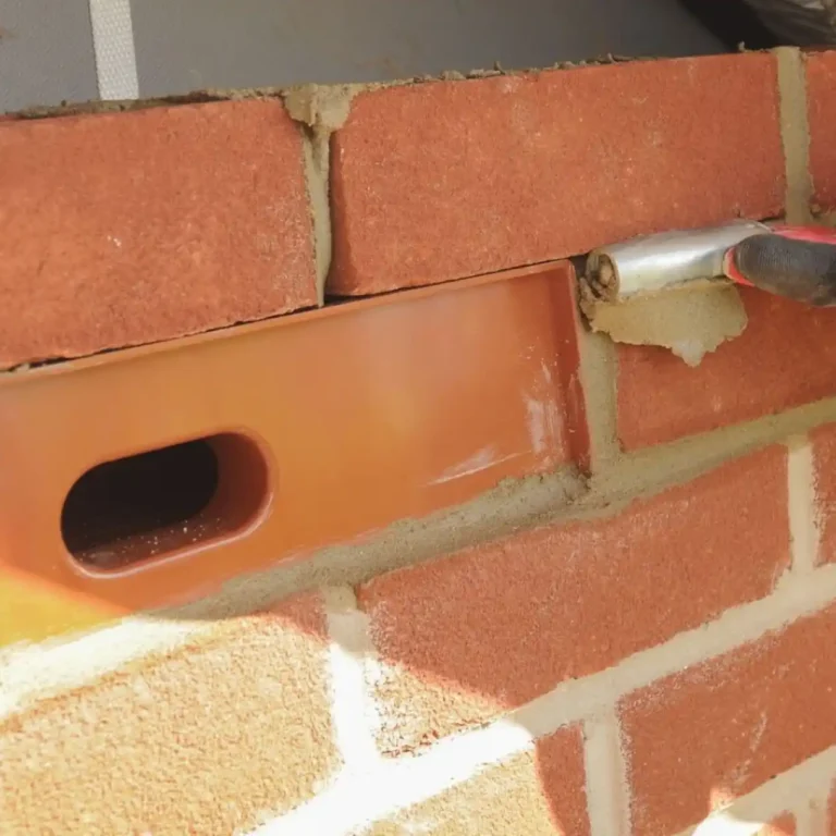 Los edificios del futuro se adaptan al vencejo: Escocia obliga a instalar ladrillos nido para frenar su declive